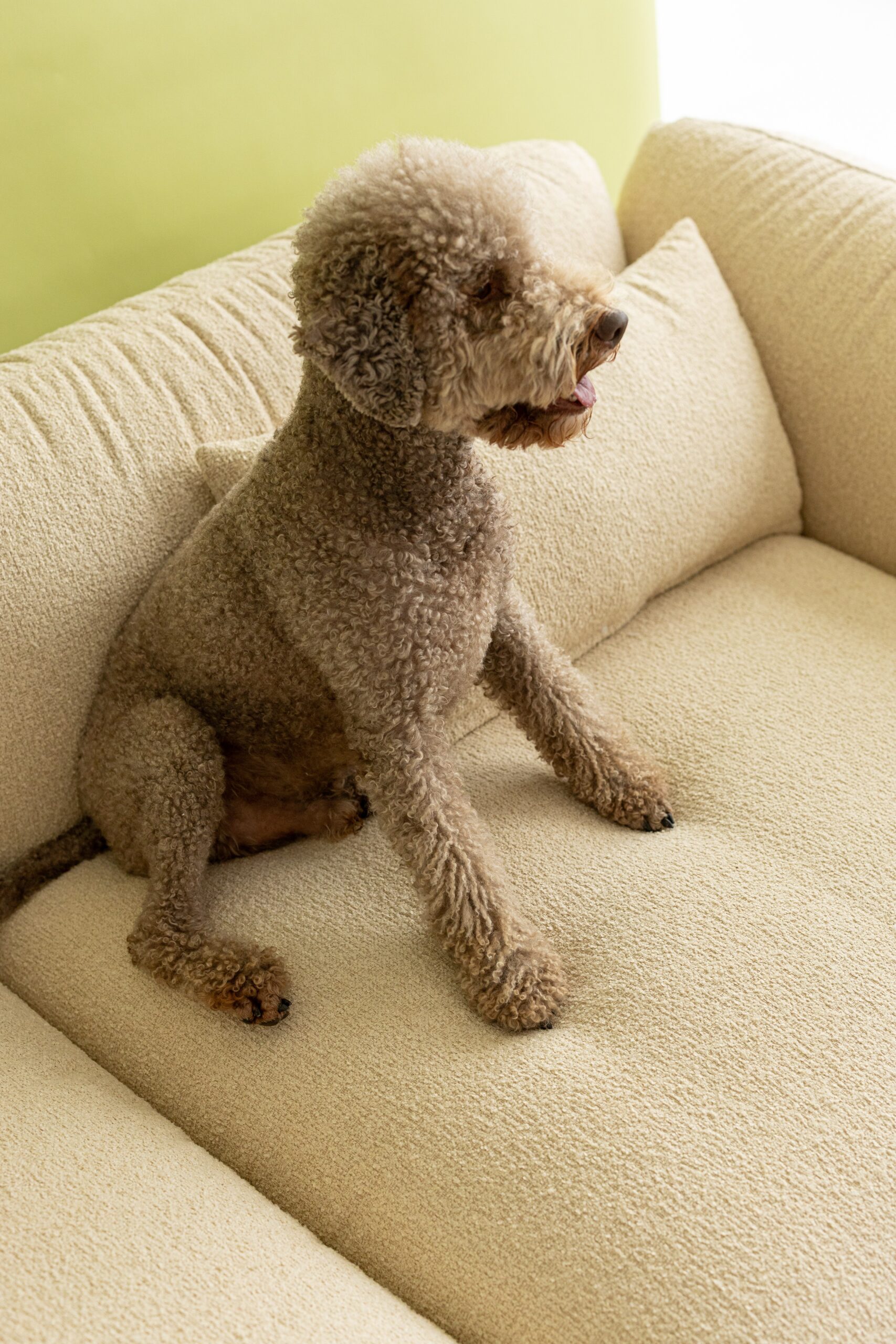 CCC_7605
